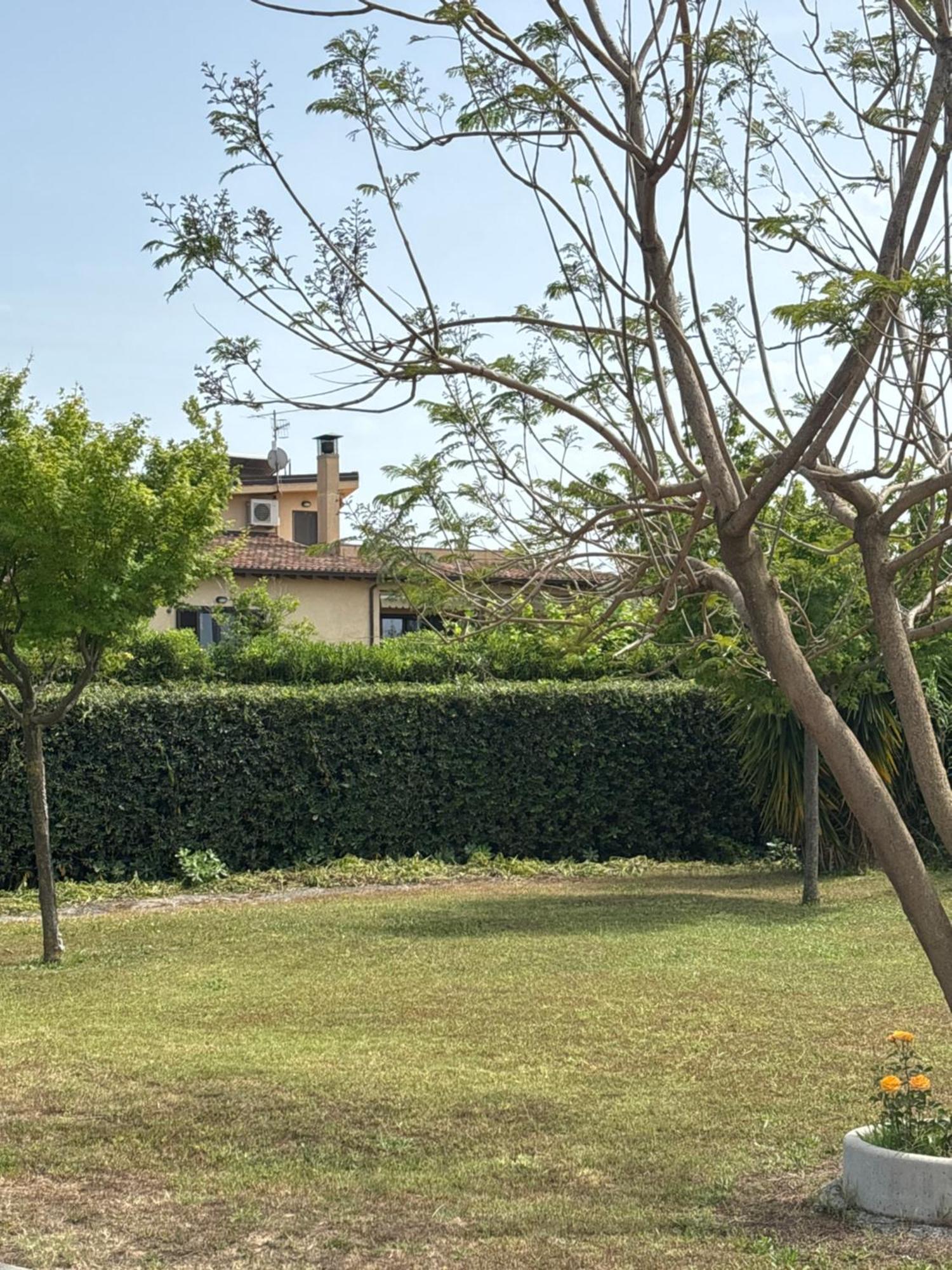 Villa Laregina Grisolia Bagian luar foto